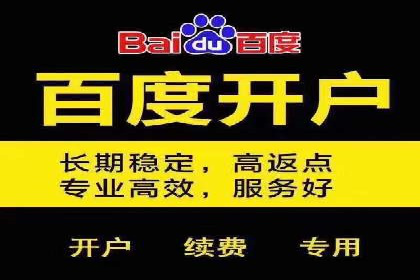 案例解析：SEM搜索引擎优化助力电商快速崛起